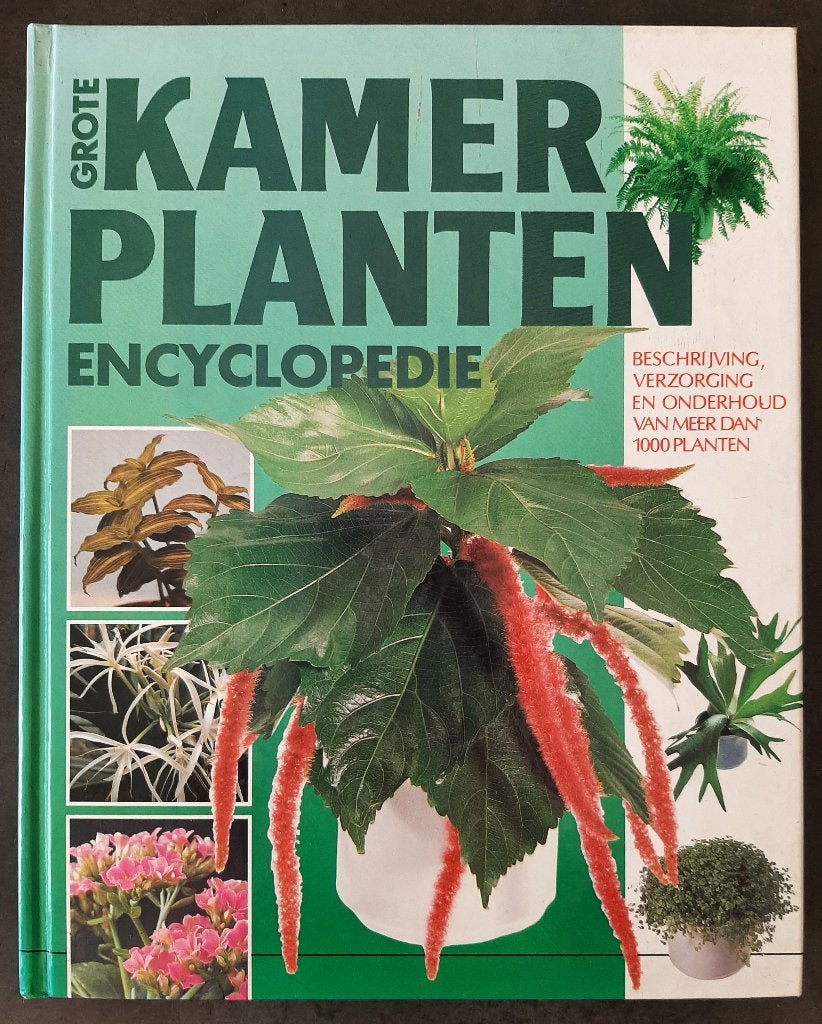 Te koop: Mooi Grote kamerplanten encyclopedie., Enlèvement ou Envoi, Comme neuf, Fleurs, Plantes et Arbres