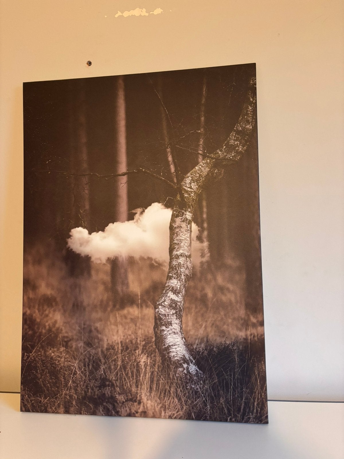 Poster/canvas, Huis en Inrichting, Ophalen of Verzenden