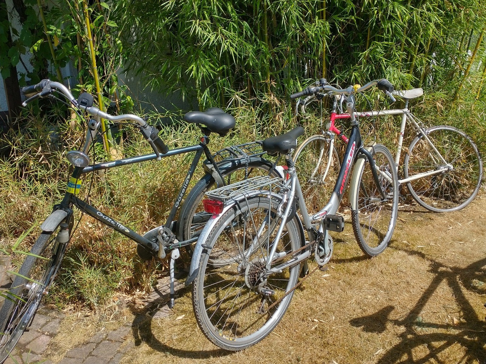 oude fietsen. Doe een bod. kan per stuk., Fietsen en Brommers, Ophalen