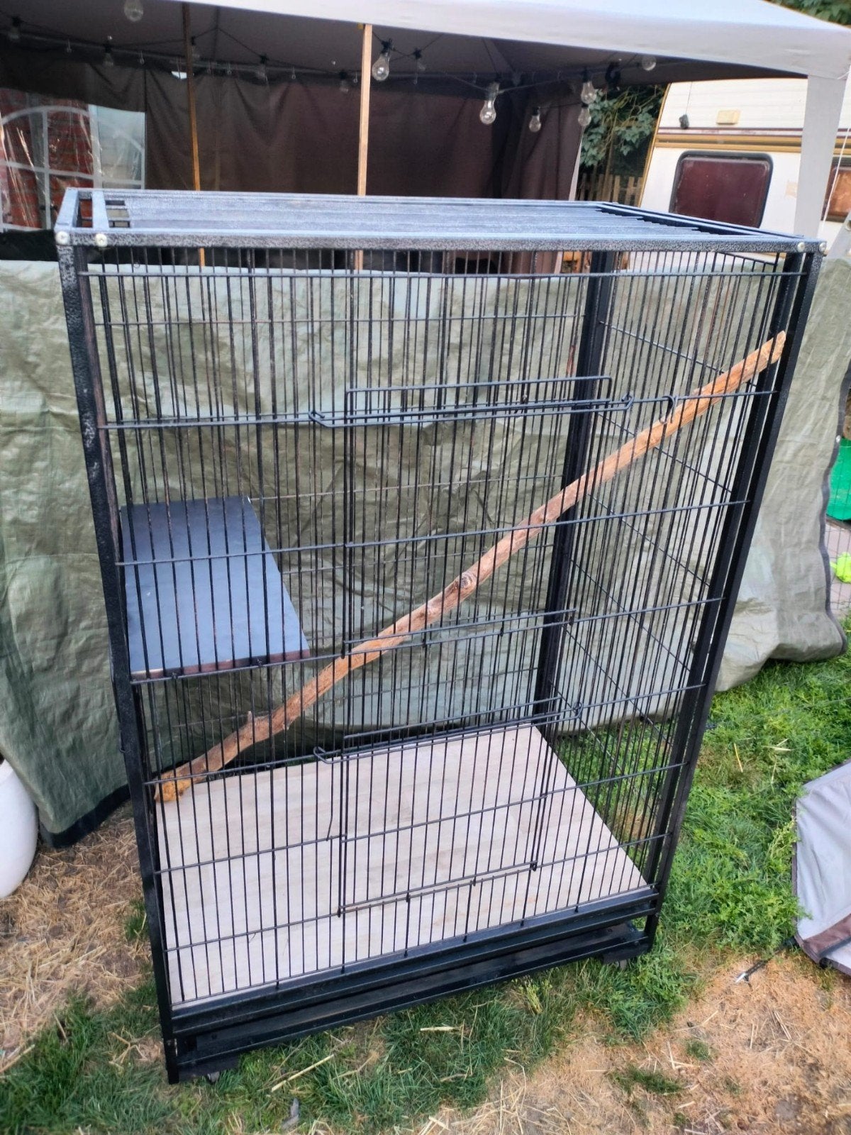 Cage à chinchilla, cage à rats, cage à perroquets, cage à oi, Enlèvement