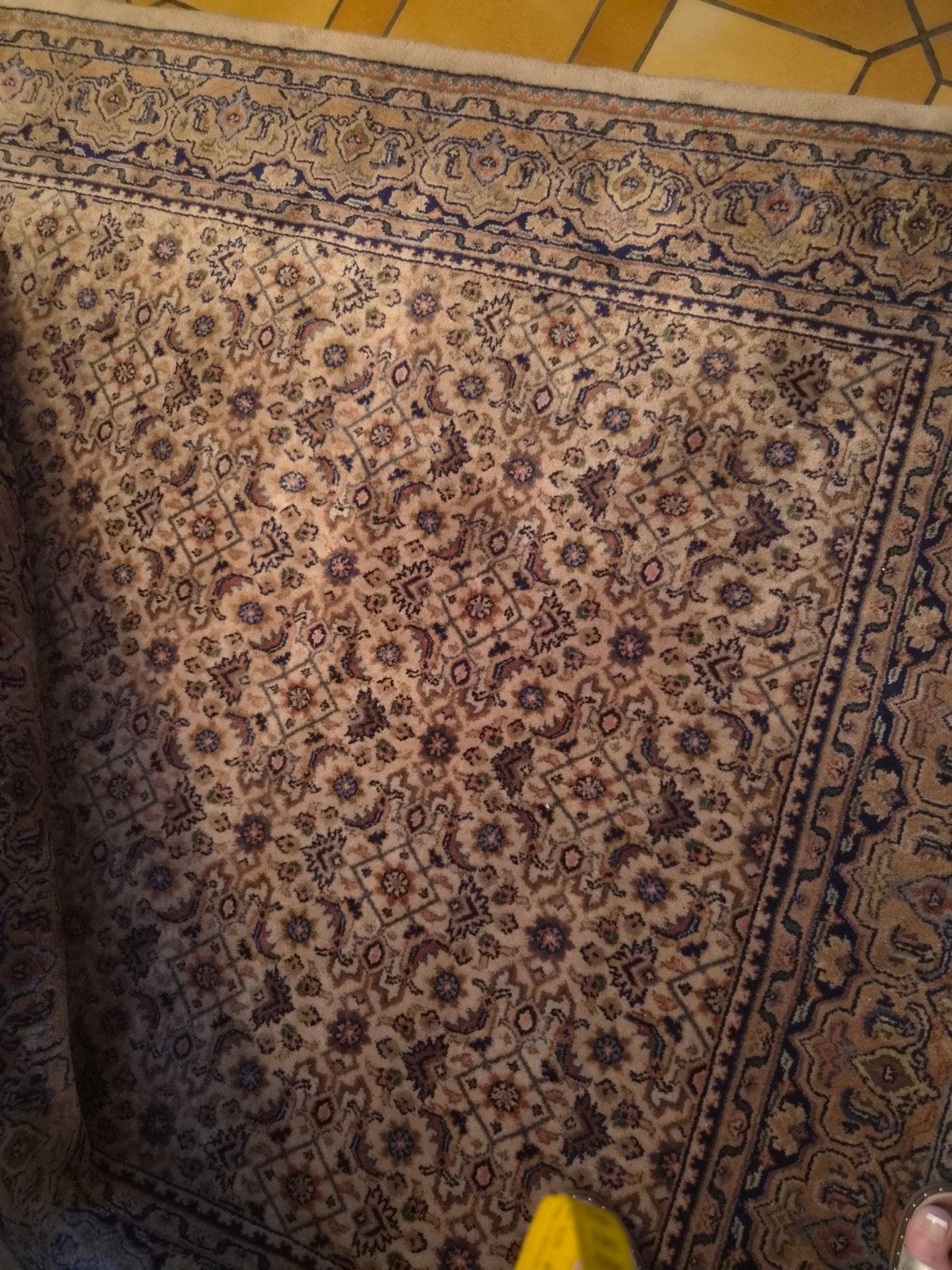 Carpette salon
