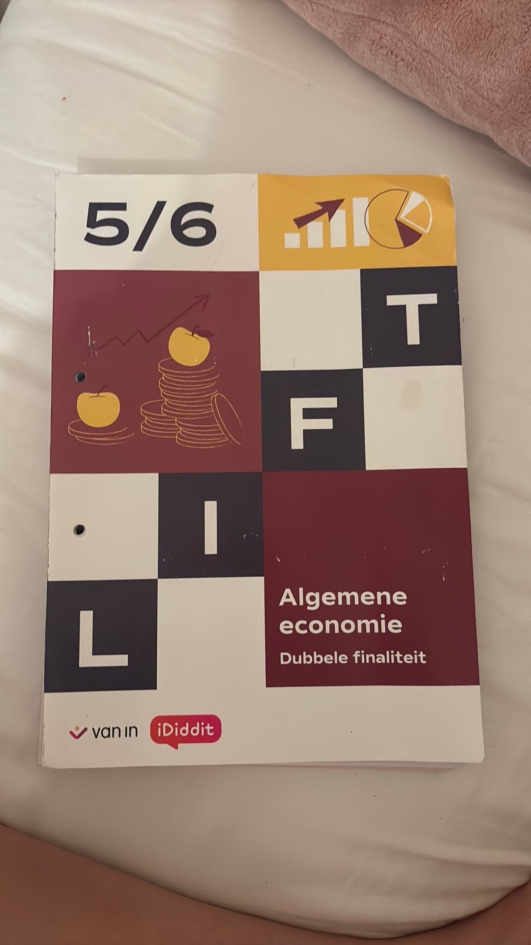 Schoolboek 5/6, Livres, Livres scolaires, Enlèvement ou Envoi, Comme neuf, Autres niveaux, Économie