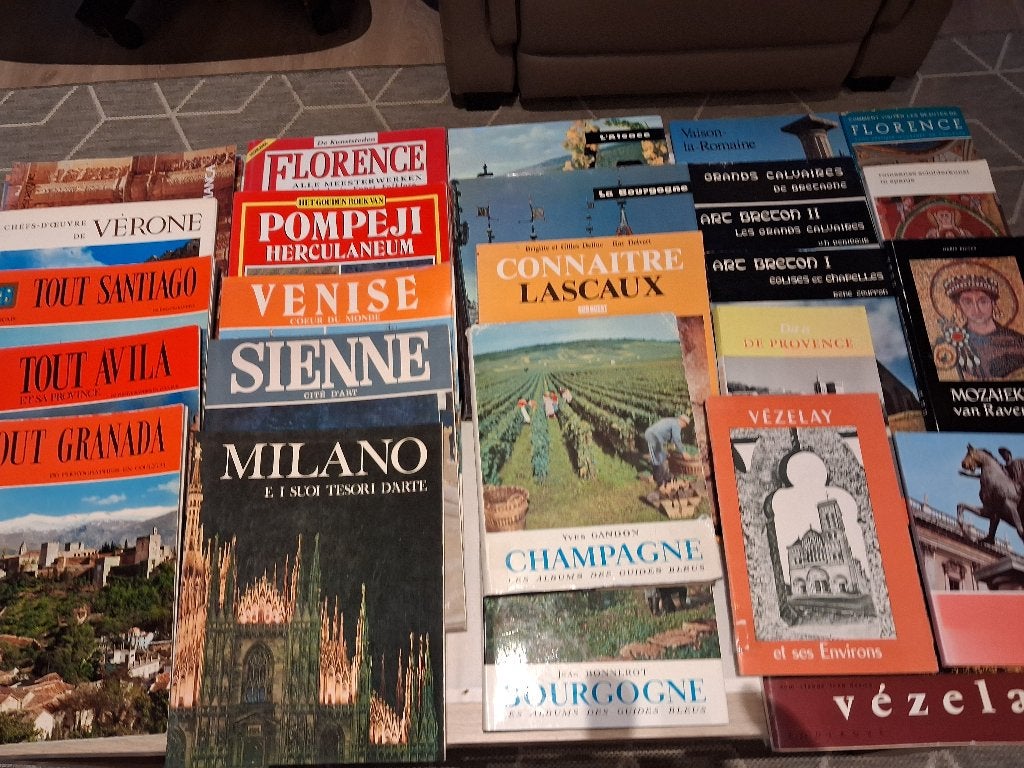 Boeken over steden in Spanje, Italië en Frankrijk, Boeken, Reisgidsen, Europa, Diverse auteurs, Reisgids of -boek, Ophalen
