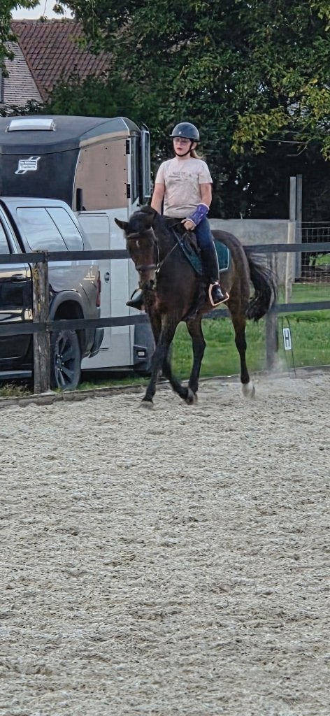 Leuke alround sportpony, Hongre