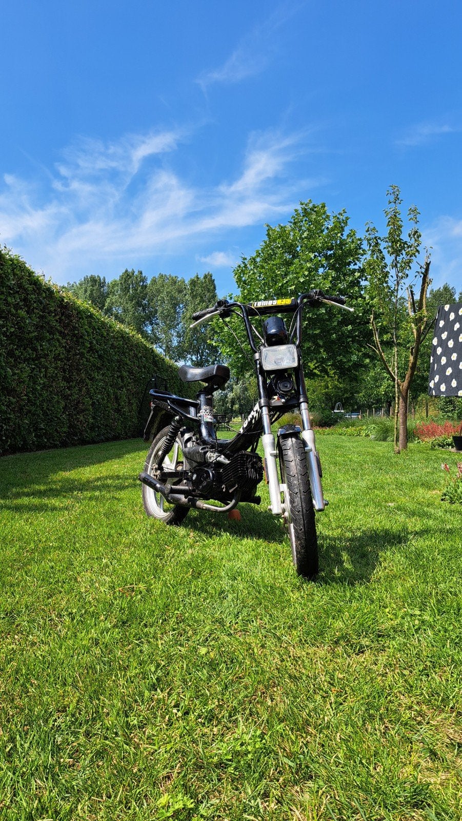 Tomos Flexer A-klasse, Fietsen en Brommers, Ophalen, Gebruikt, Klasse A (25 km/u), 2 versnellingen
