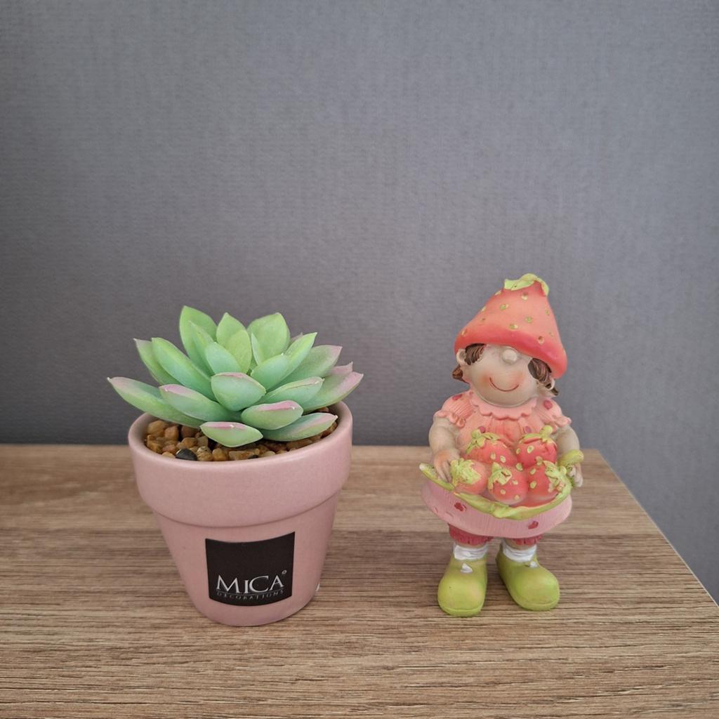 Kunstplantje en beeldje, Enlèvement