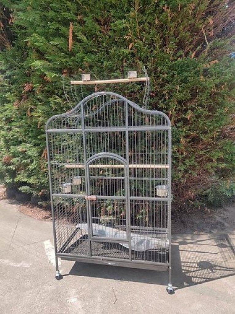 Galerita papegaaienkooi, Dieren en Toebehoren, Ophalen, Nieuw, Metaal, Vogelkooi