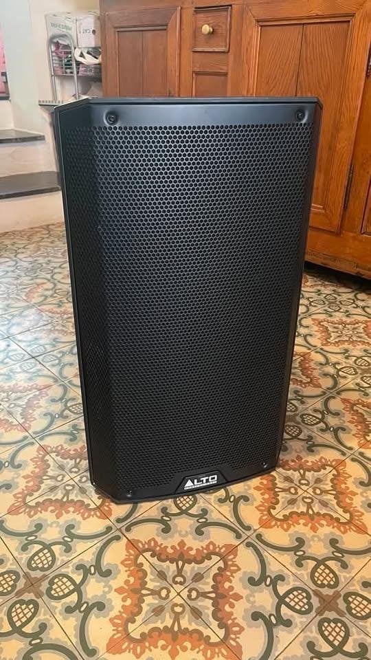 Speaker Alto TS212, Audio, Tv en Foto, Luidsprekerboxen, Gebruikt, Stofbestendig, Center speaker, Ophalen
