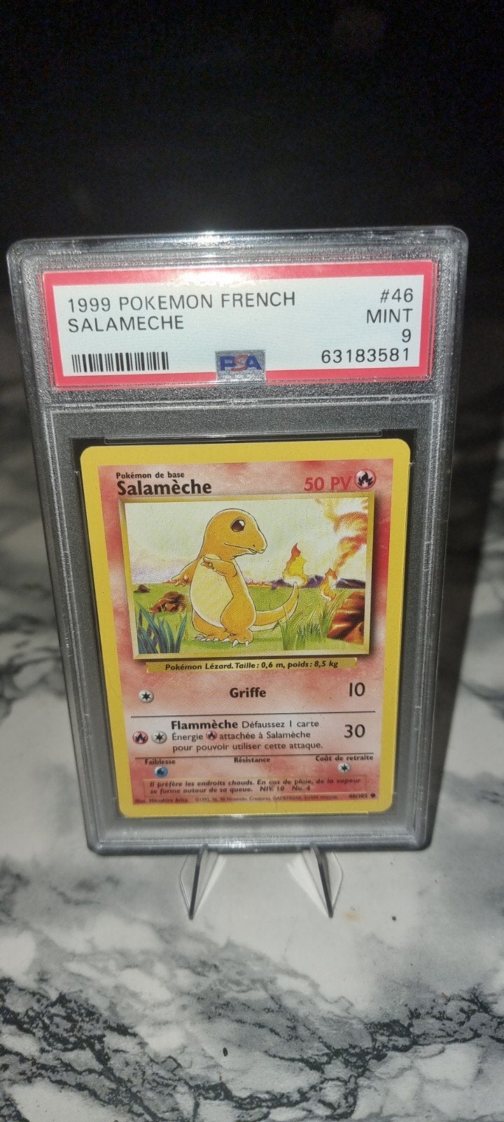 Psa9 salameche ed1, Hobby & Loisirs créatifs