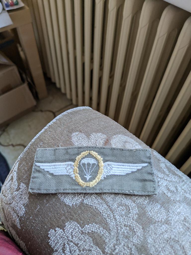 Duits para brevet, Enlèvement ou Envoi, Armée de terre, Emblème ou Badge