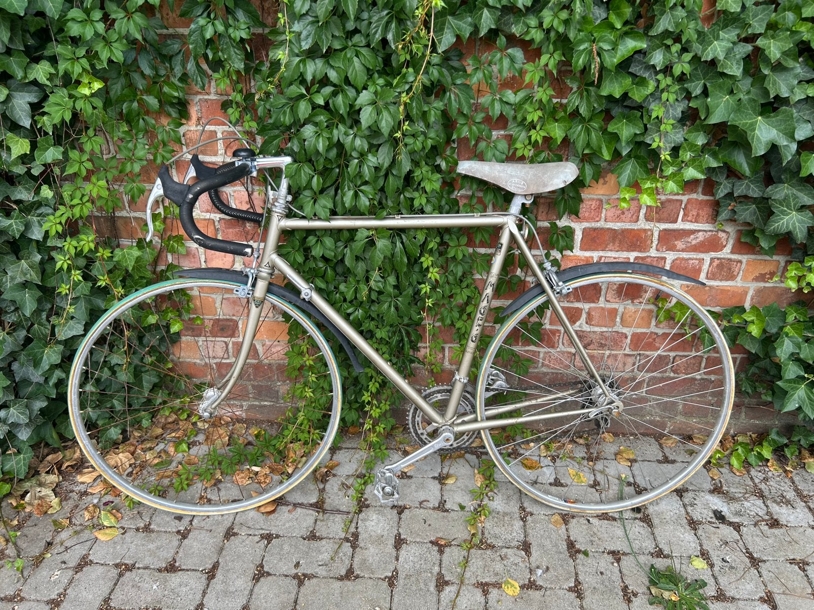 Reynolds 501 racefiets, Fietsen en Brommers, 59 cm of meer, Ophalen, Velgrem, Jaren '60 of nieuwer