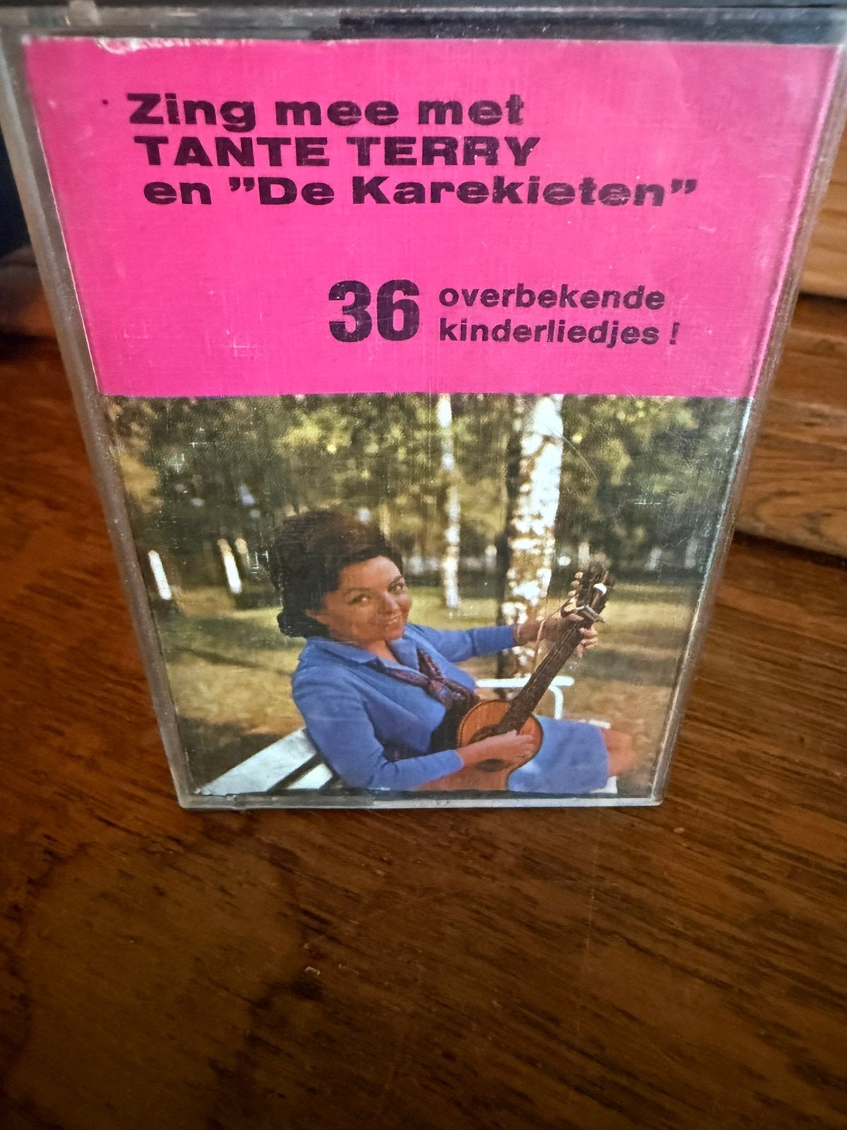 Zing Met Tante Terry, Cd's en Dvd's, Kinderen en Jeugd, 1 bandje, Ophalen of Verzenden, Zo goed als nieuw
