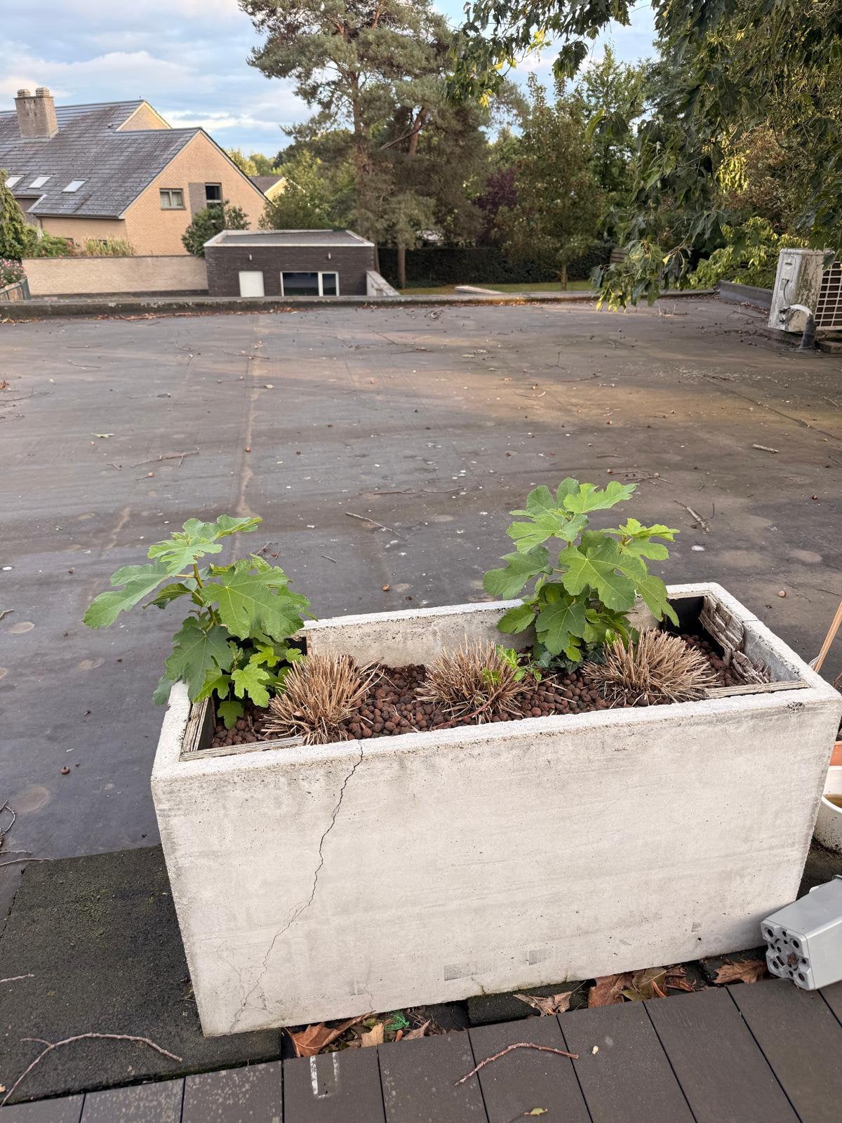 Bloembak beton, Tuin en Terras, Ophalen, Zo goed als nieuw, Beton