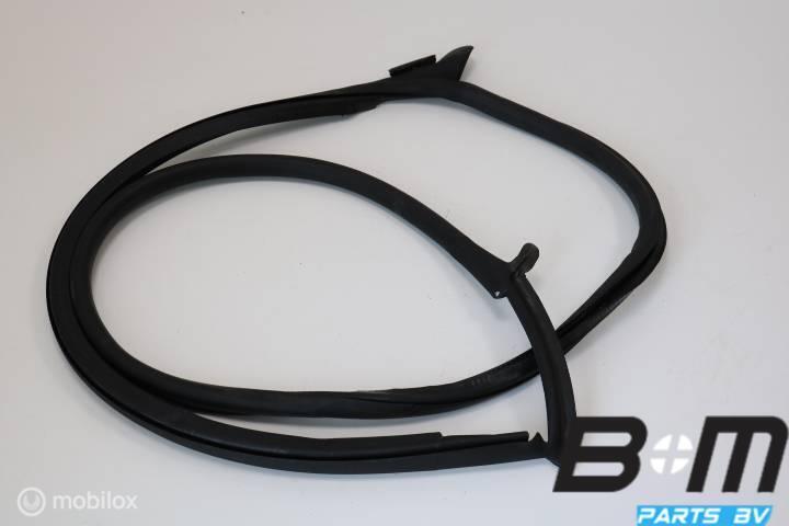 Portierrubber binnen rechts Audi TT 8S 8S8831708, Gebruikt