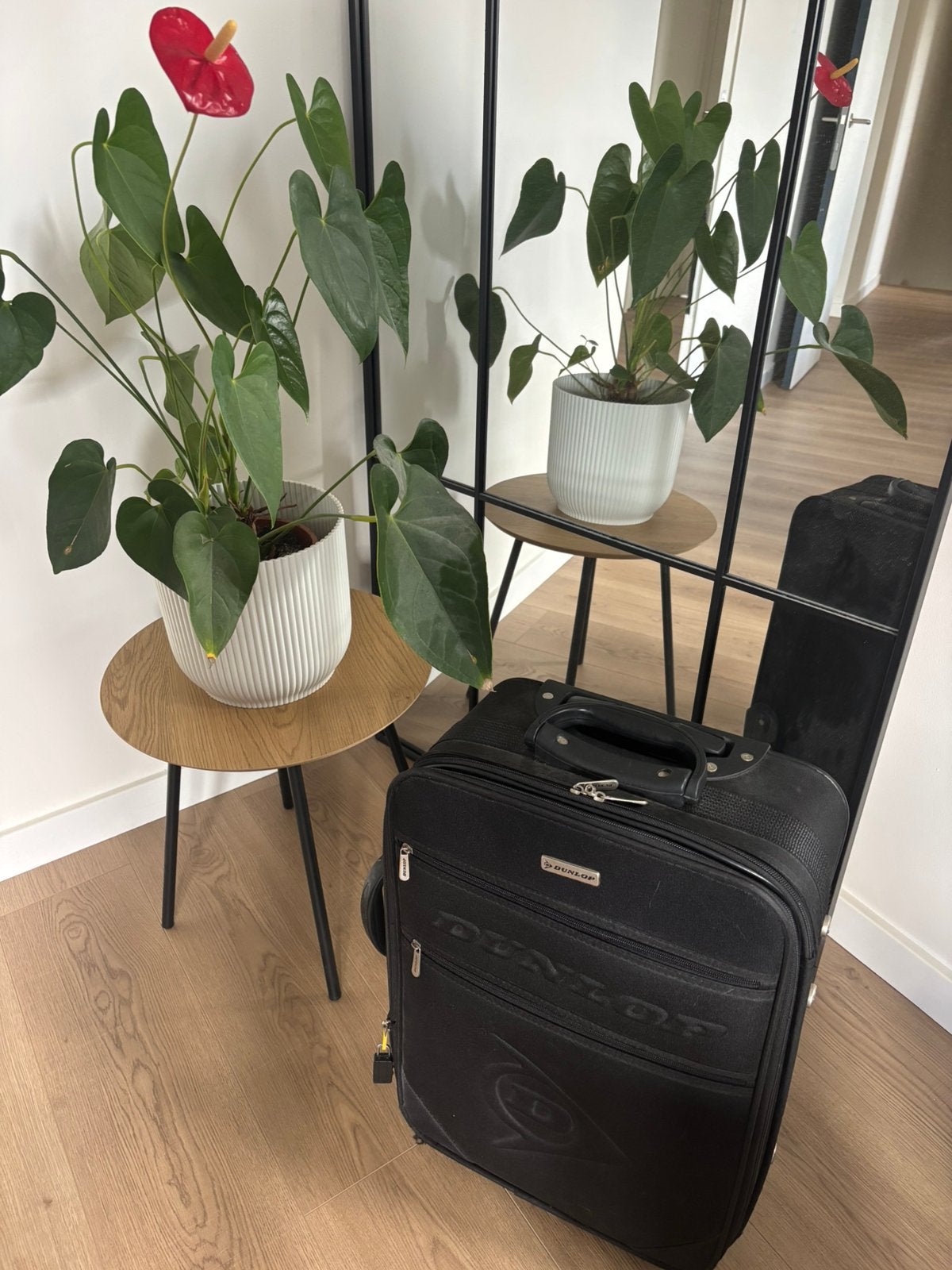 Dunlop handbagage koffer op wieltjes – uitbreidbaar!, Wieltjes, Overige materialen, Gebruikt, 50 tot 60 cm