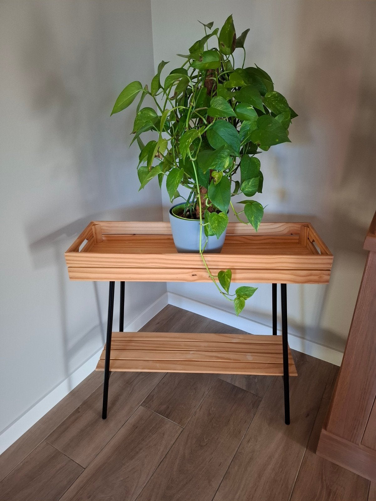 Plantenstandaard, Huis en Inrichting, Ophalen