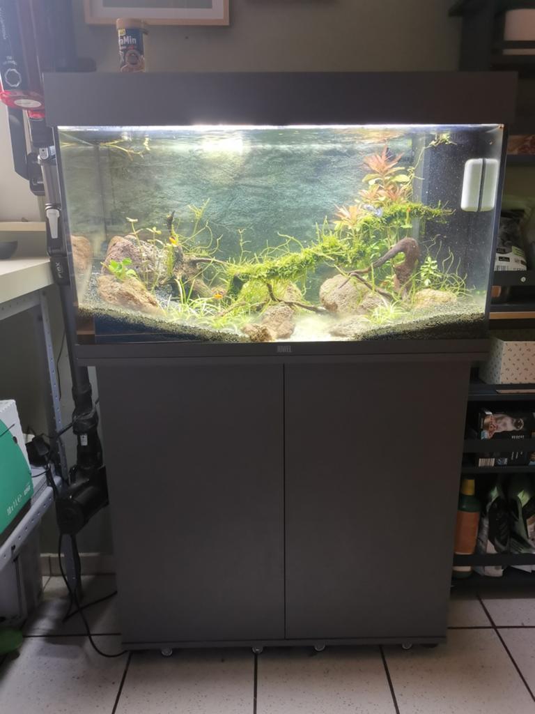 Juwel rio 125 met onderkast, Dieren en Toebehoren, Vissen | Aquaria en Toebehoren, Ophalen, Verwarming, Filter, Juwel