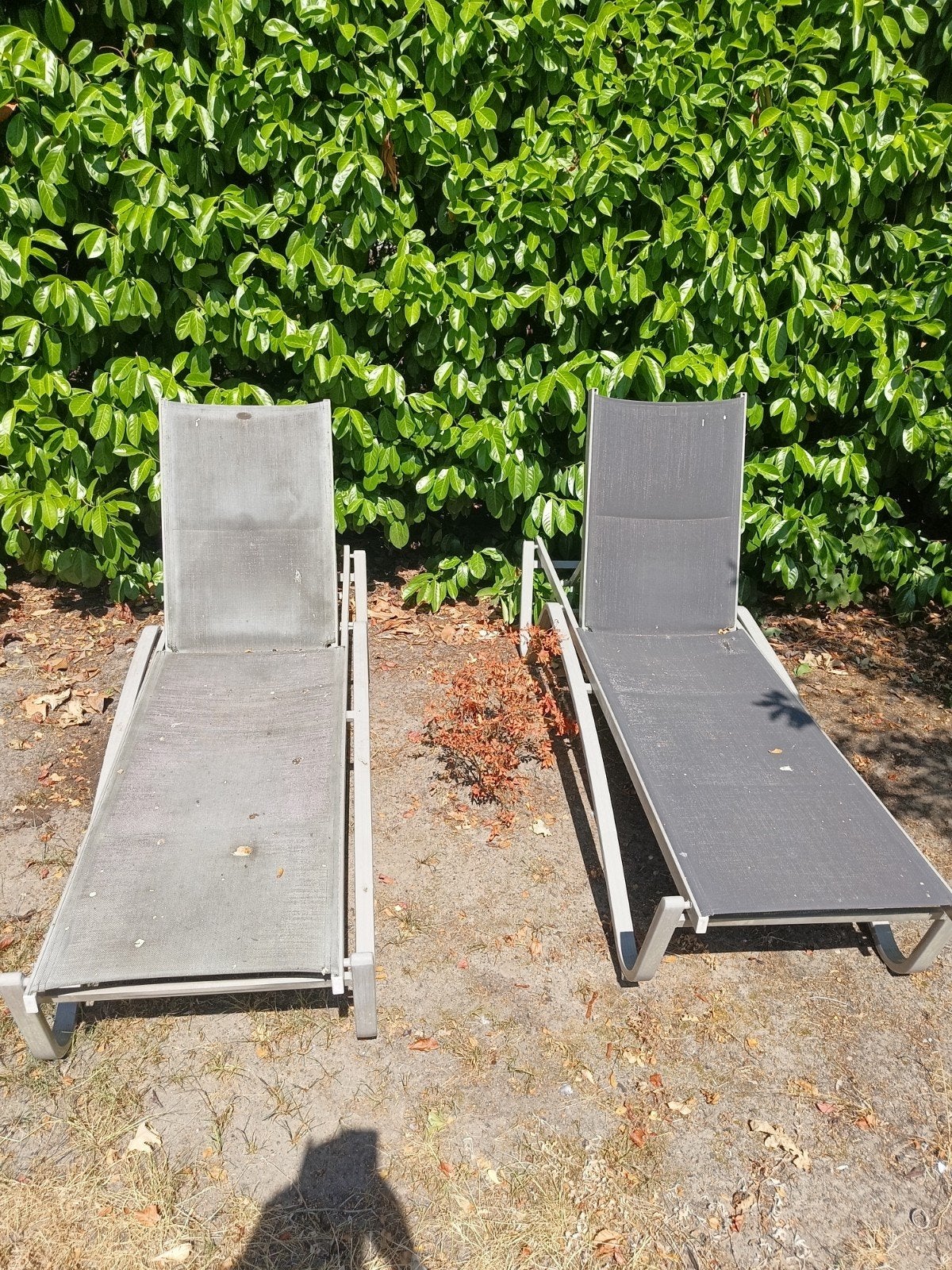 tuin ligzetels, Ophalen