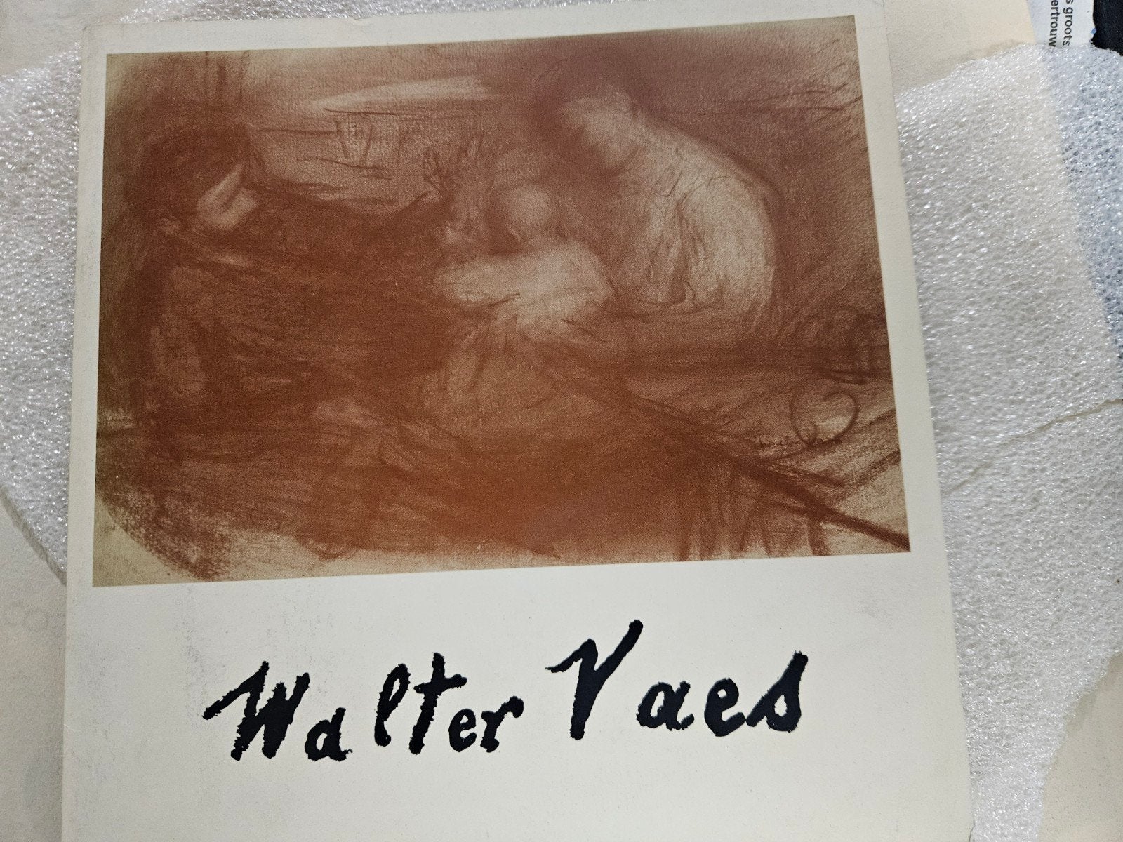 Walter Vaes kunstboek, Boeken, Ophalen of Verzenden