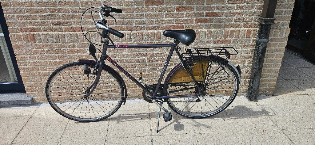 Batavus fiets, Fietsen en Brommers, Fietsen | Heren | Herenfietsen, Ophalen, Gebruikt, Velgrem, Versnellingen