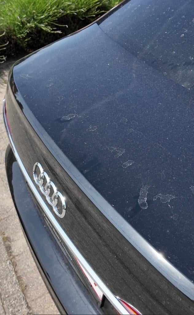 Auto Detailing aan Huis | Interieur & Exterieur Reiniging, Ophalen, Nieuw