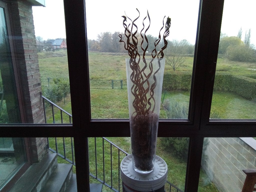 Vase de décoration en verre avec branches séchées, Enlèvement, Comme neuf