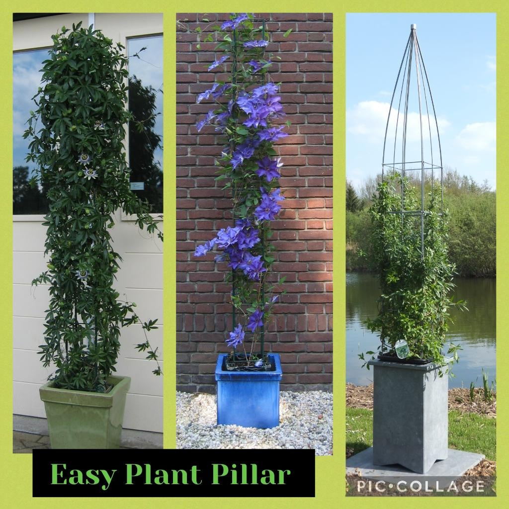 klimrekken draadrekken rek voor tuinplanten klimplanten, Tuin en Terras, Vaste plant, Ophalen of Verzenden, Halfschaduw, Klimplanten