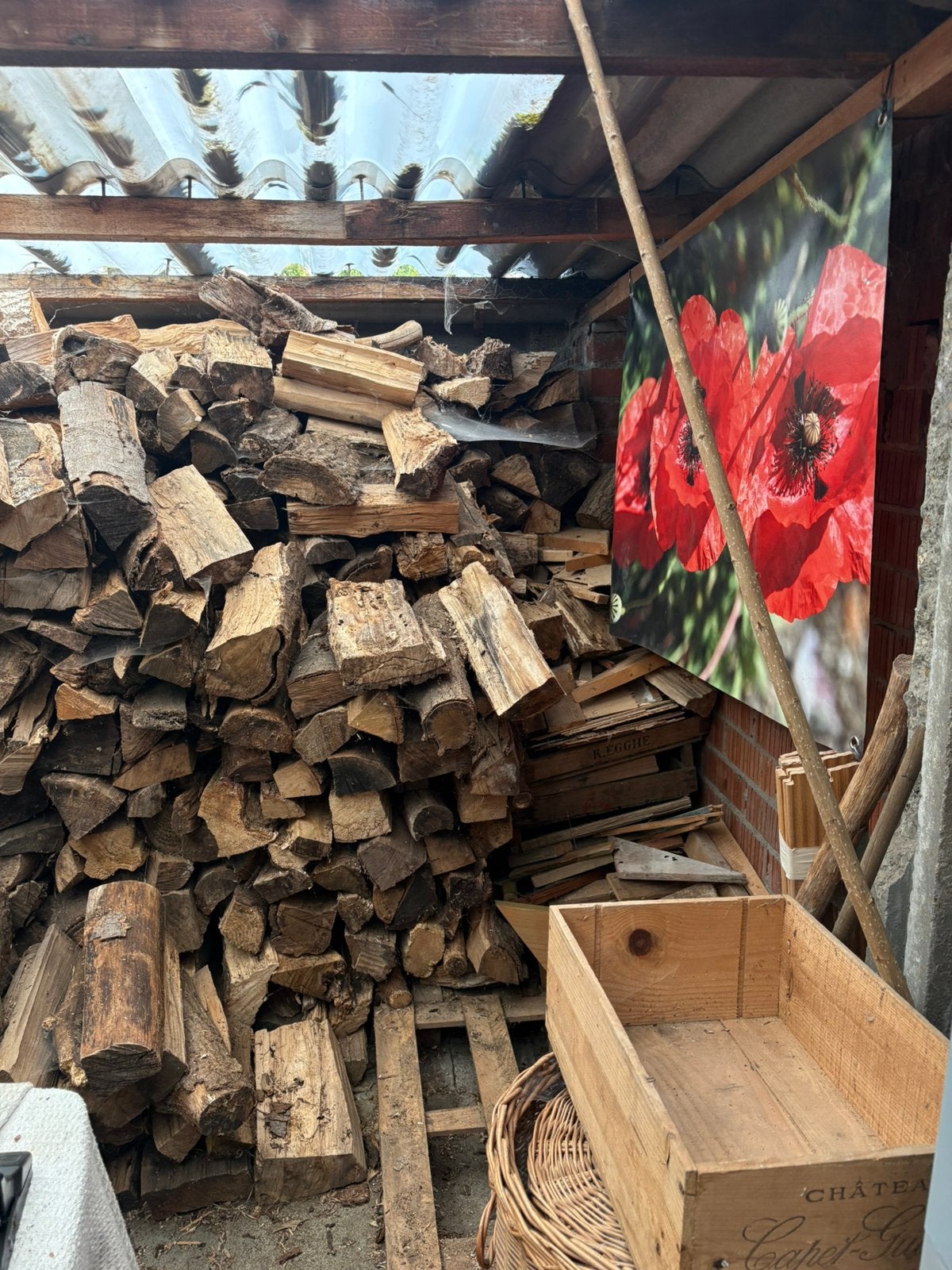 Eik/ beuk gemend, zeer droog, Tuin en Terras, 3 tot 6 m³, Ophalen, Beukenhout, Blokken