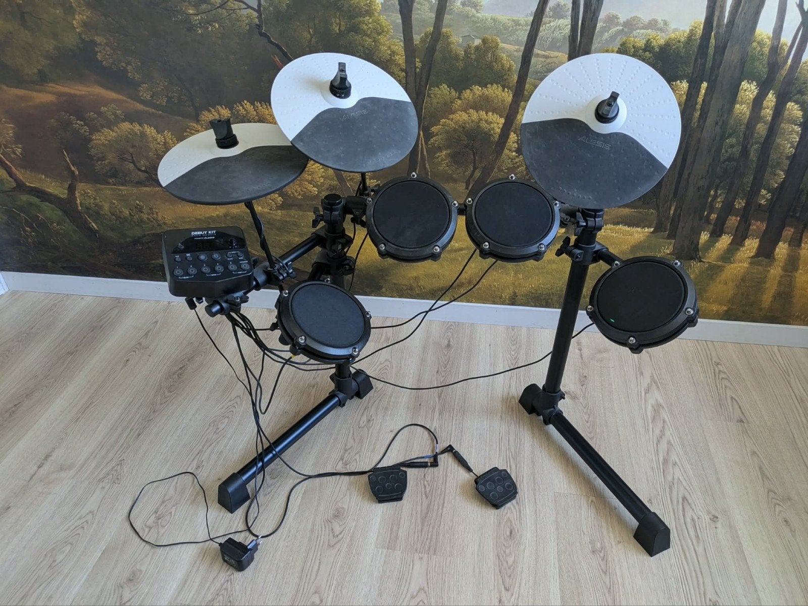 Elektrisch drumstel Alesis, Muziek en Instrumenten, Ophalen