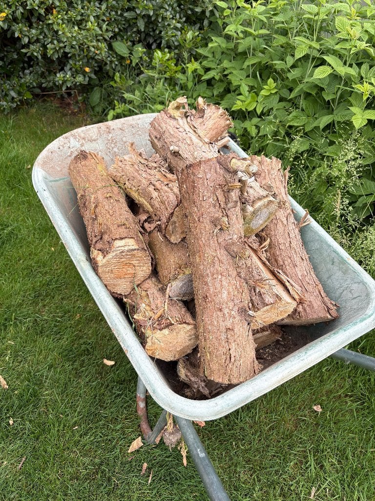 4 kruiwagens droog brandhout (Leylandii), Tuin en Terras, Brandhout, Minder dan 3 m³, Ophalen, Overige houtsoorten, Stammen