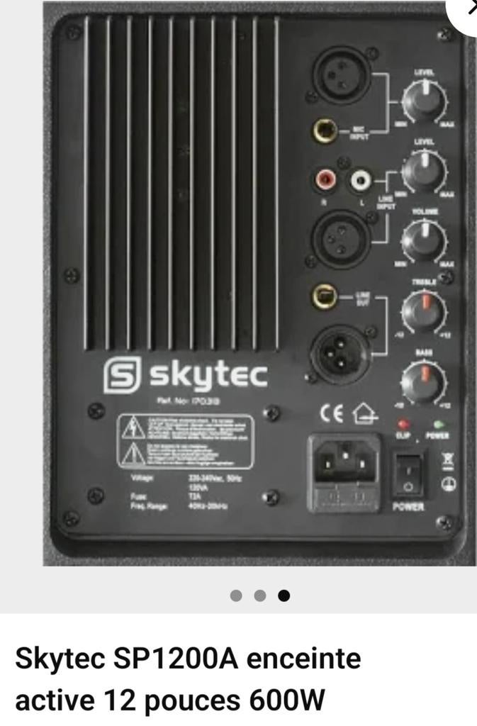 Enceinte sono amplifiée" Skytec ", Audio, Tv en Foto, Luidsprekerboxen, Ophalen of Verzenden