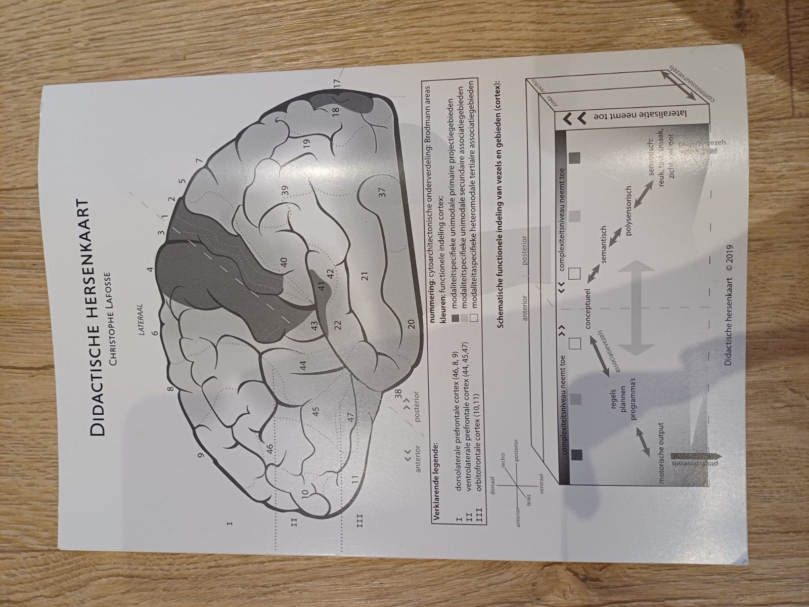 Didactische hersenkaart, Boeken, Studieboeken en Cursussen, Ophalen of Verzenden