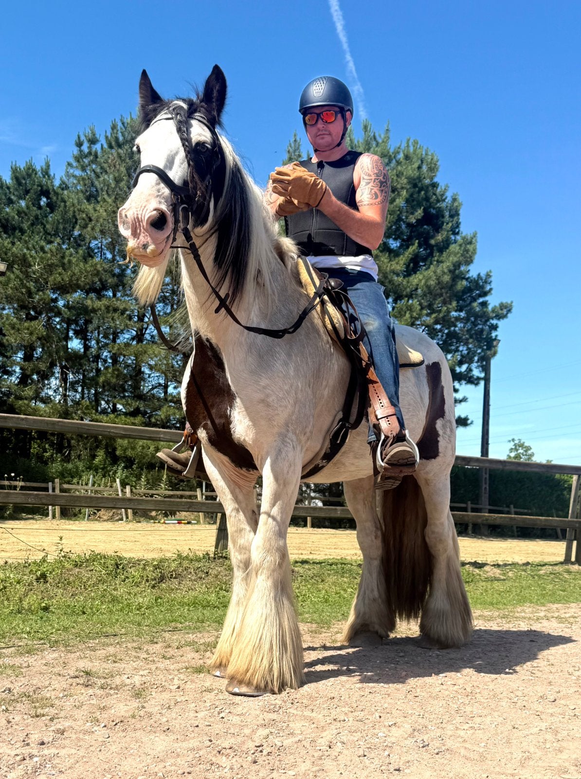 Toffe tinker, Dieren en Toebehoren, Paarden, Ruin, B, 160 tot 165 cm