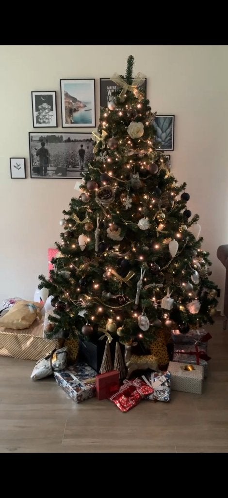 Kerstboom, Ophalen, Zo goed als nieuw