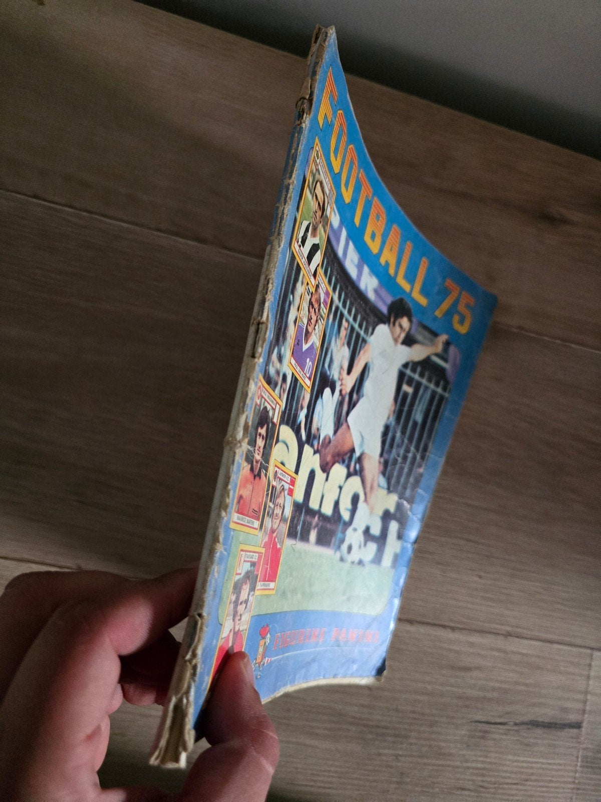 Album Panini Football 75 Belgique 1974-1975 330/400 stickers, Ophalen of Verzenden, Gebruikt, Meerdere stickers