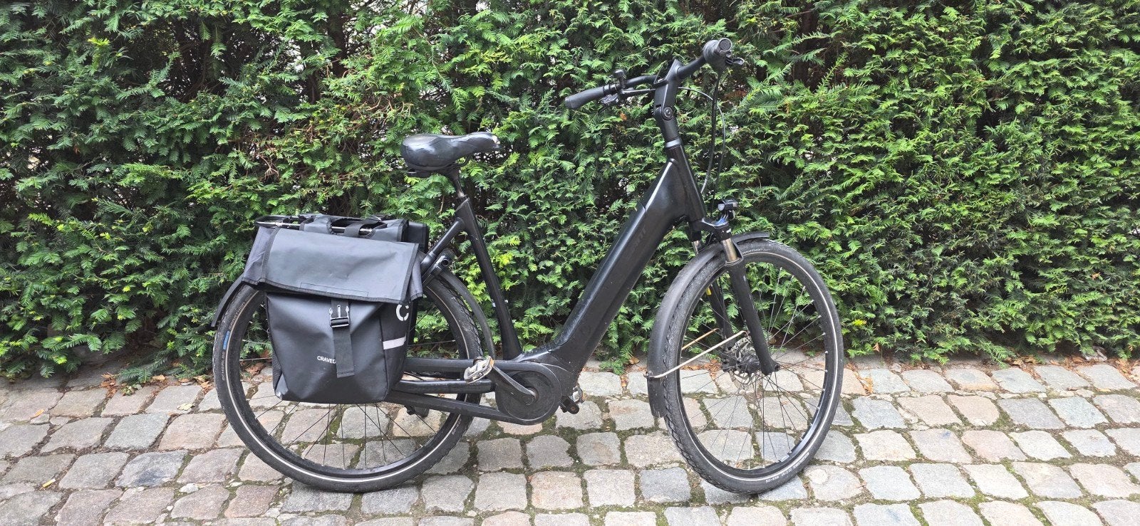 Elektrische fiets Gaint, Fietsen en Brommers, Ophalen, Gebruikt, Giant, 50 km per accu of meer