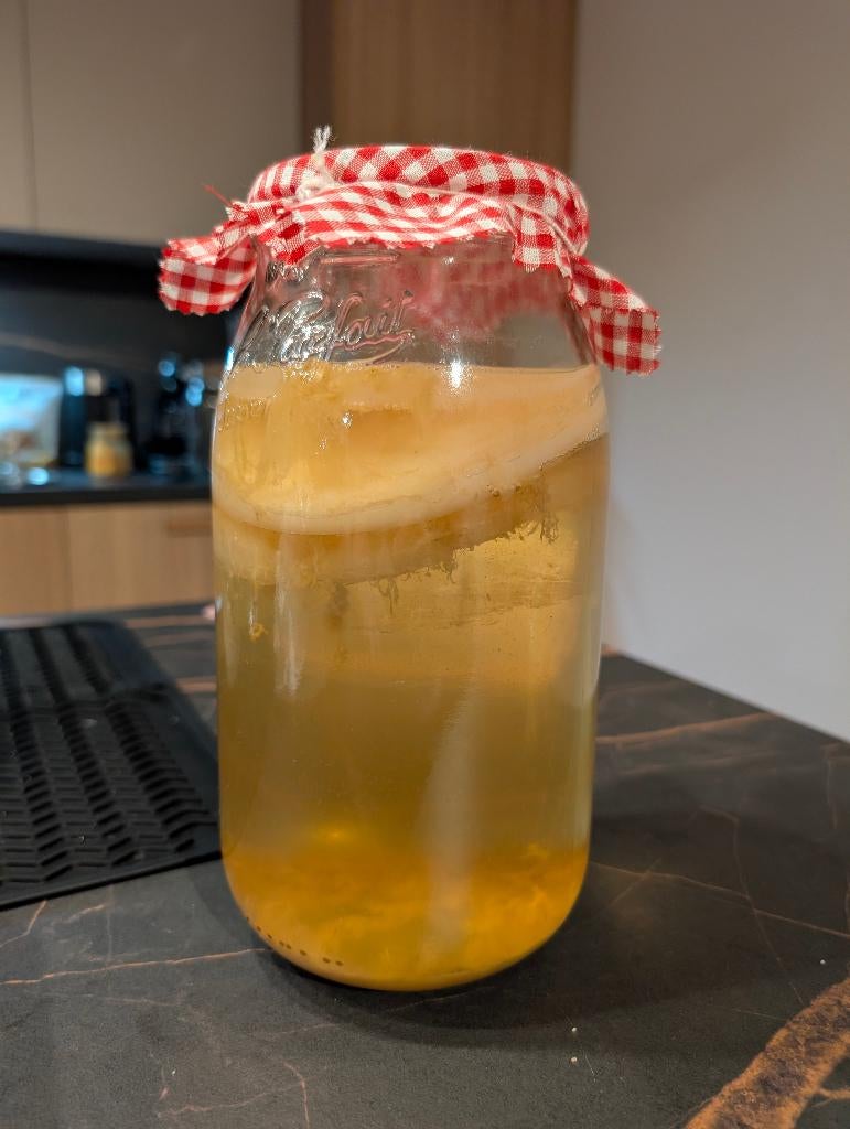 Jun scoby, Diversen, Levensmiddelen, Ophalen