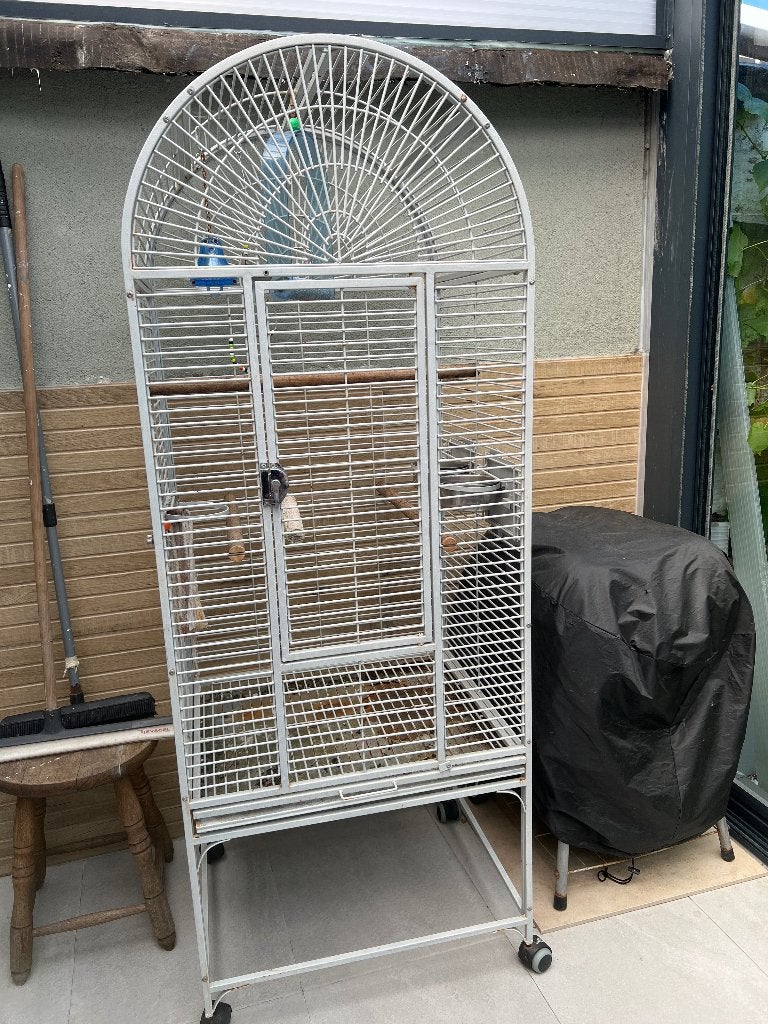 Cage à perroquet, Enlèvement, Utilisé, Métal, Cage à oiseaux