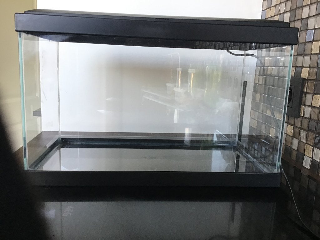 Aquarium 40x20x 25, Dieren en Toebehoren, Ophalen, Gebruikt, Leeg aquarium, Overige merken