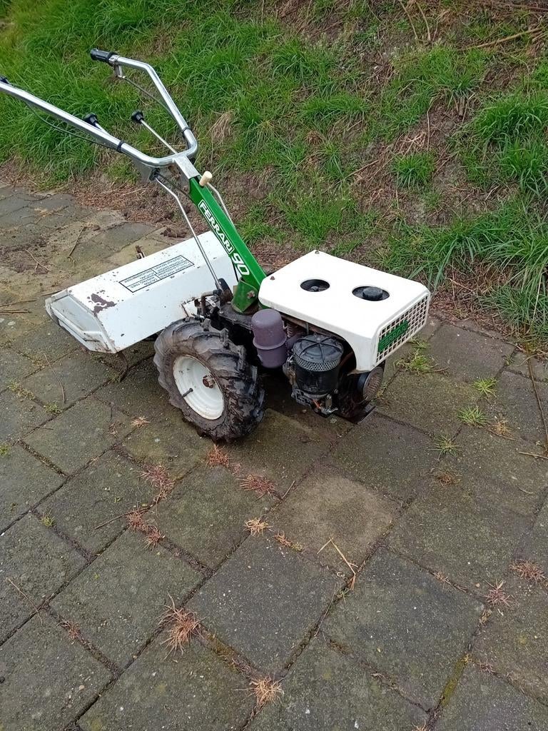 ferrari tuinfrees, Tuin en Terras, Ophalen, Gebruikt, Overige soorten, Gianni ferrari