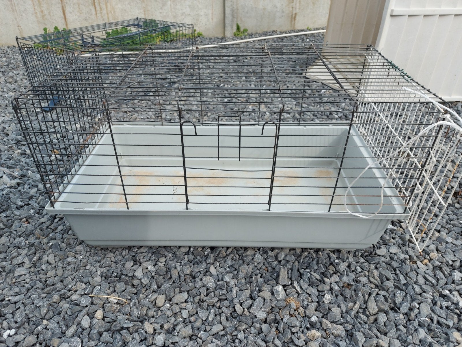 Cage rongeur, Animaux & Accessoires, Enlèvement, Cage, Cobaye