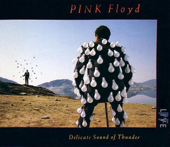 CD EN VENTE PINK FLOYD-Delicate Sound Of Thunder-LL, Envoi