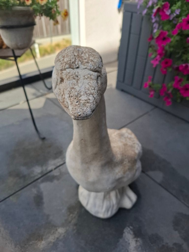 te koop, Enlèvement, Utilisé, Pierre