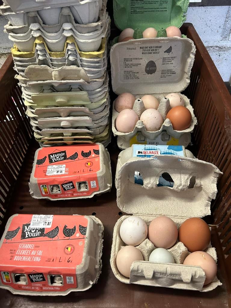 Verse scharreleitjes te koop van maximaal 6 dagen oud, Dieren en Toebehoren, Ophalen, Zo goed als nieuw