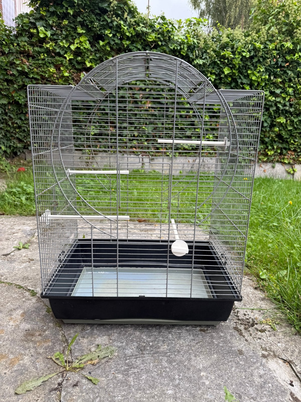 Cage oiseaux, Dieren en Toebehoren, Ophalen, Zo goed als nieuw