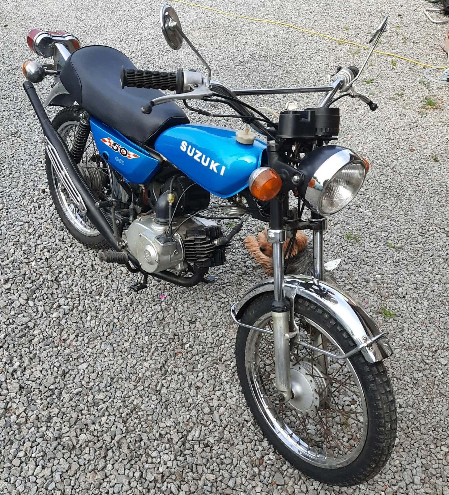 Suzuki ts50