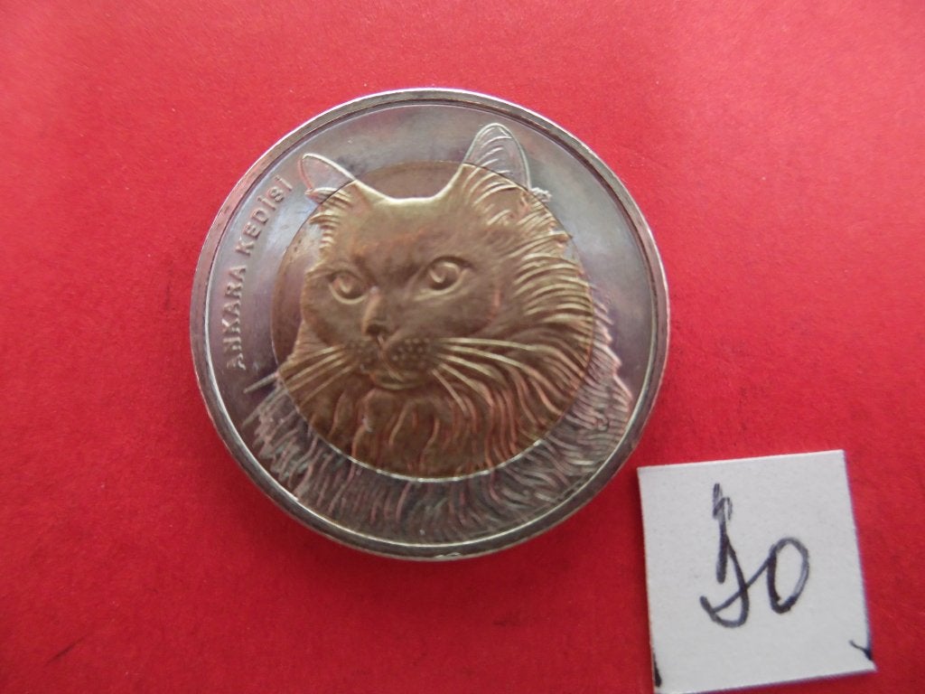 Turkije 1 Lira 2010       Kat  Km 1279, Timbres & Monnaies, Enlèvement ou Envoi, Monnaie en vrac