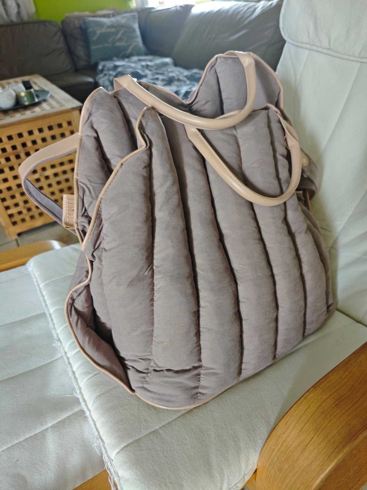 Draagtas kleine honden, Animaux & Accessoires, Accessoires pour chiens, Enlèvement