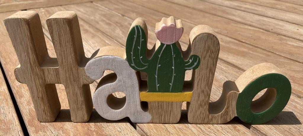 HOUT DECO 168 HALLO MET CACTUS NIEUW, Enlèvement ou Envoi, Neuf, Autres types