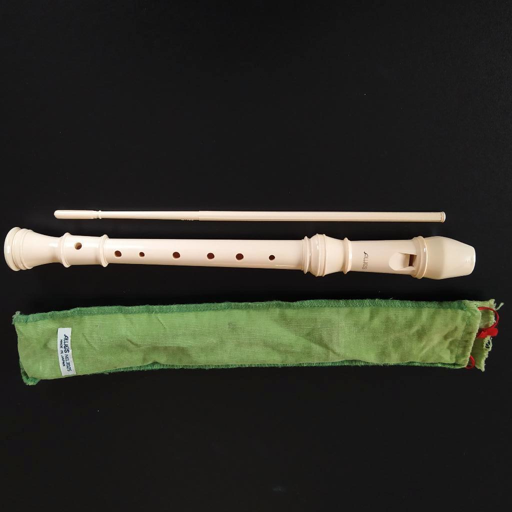 kunststof blokfluit, Musique & Instruments, Instruments à vent | Flûtes à bec, Enlèvement ou Envoi, Utilisé, Soprano ou Sopranino